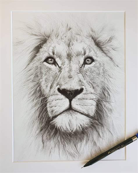 Lion Pencil Drawing Pencildrawings Graphitedrawing Liondrawing
