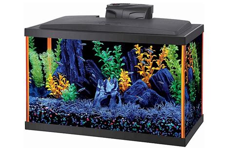 Best Gallon Fish Tanks And Aquariums In 2022 Updated Review
