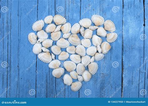 White Sea Shells Forming A Heart Stock Photo Image Of Life Tropical