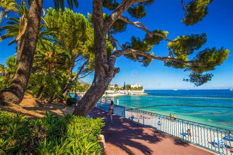 Beach Promenade In The Beaulieu Sur Mer Village With Palm Trees French