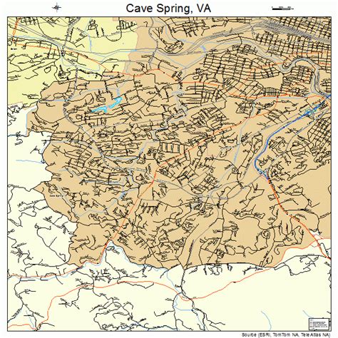 Cave Spring Virginia Street Map 5113720