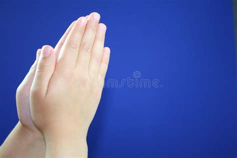Praying Hands Stock Image Image Of Praise Dainty Praying 9557921