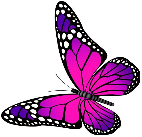 Butterfly Pink And Purple Transparent Png Clip Art Image Arte De