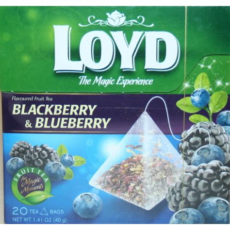 Loyd Blackberry And Blueberry Fruit Tea 20 Teabags 40g