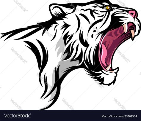 Angry White Tiger Royalty Free Vector Image VectorStock