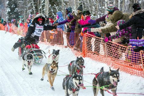 Iditarod Trail Sled Dog Race Takes Off The Globe And Mail