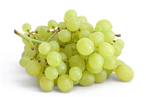 Filetable Grapes On White Wikimedia Commons