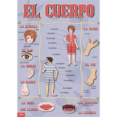 Body Parts Spanish Poster Spanish Teachers Discovery
