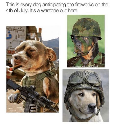 What is the meme generator? This Is Every Dog Anticipating the Fireworks on the 4th of July It's a Warzone Out Here Ck | 4th ...