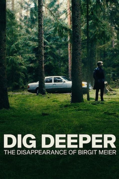 Dig Deeper The Disappearance Of Birgit Meier 2021