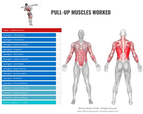 The Complete Guide To Pull Up 12 Best Pull Up Variations