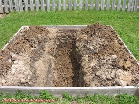 10 Years Of Vermicomposting Trenches And Beyond Red Worm Composting