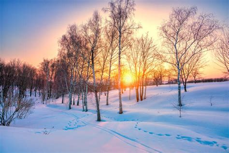 Colorful Winter Sunset Stock Photo Image Of Russia 162236718