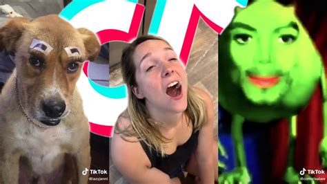 The Funniest Tik Tok Memes Of August 2023 Try Not To Laugh 😂 6 Otosection