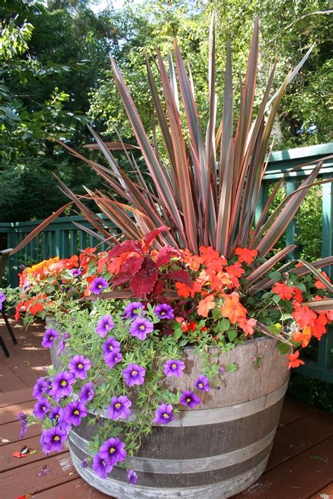 Fall Color Container Planting Idea Fall Containers