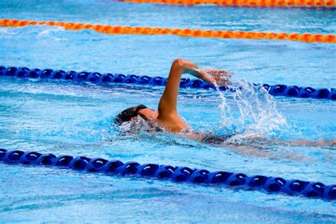 دانلود عکس مسابقه ی شنا با بهترین کیفیت