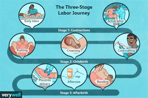 Phases And Stages Of Labor Chart