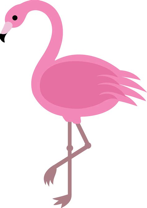 Cartoon Flamingo Png Clipart Best