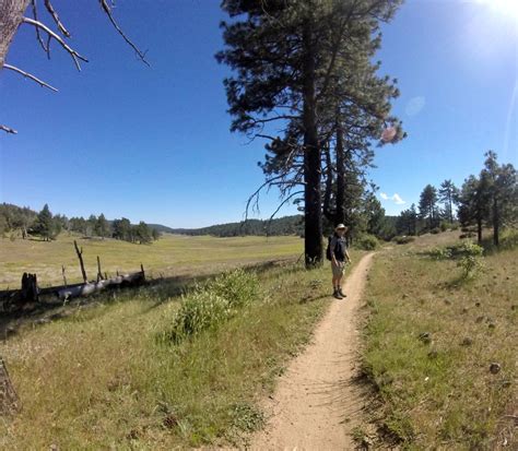 Local San Diego Review Hiking In The Cleveland National Forest Fit
