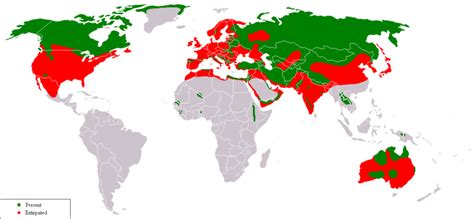 Abe's Animals: Range maps of the gray wolf and the subspecies