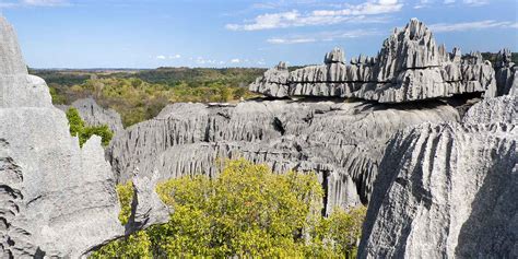 Tsingy De Bemaraha National Park Wildlife Location In Madagascar