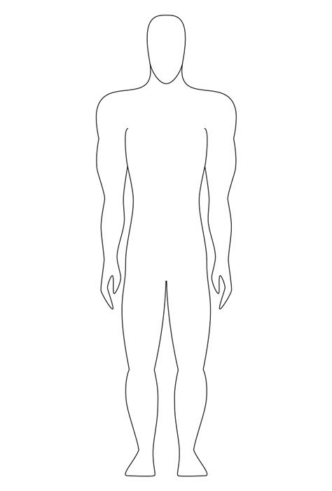 Male Figure Human Body Form Png Image Figure Drawing Transparent