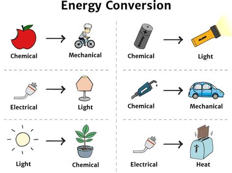 Energy Transformation What Is Bioenergetics And Free Energy