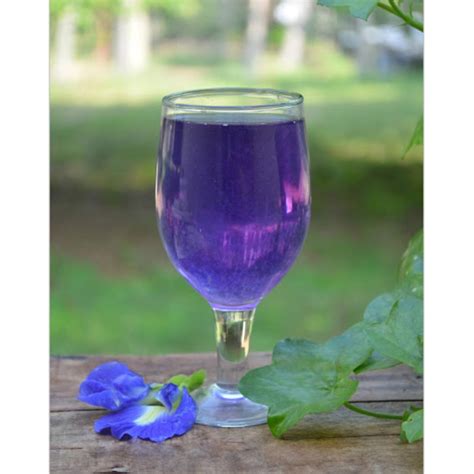 Blue pea, butterfly pea, and clitoria ternatea are the names of thai blue tea. Blue Butterfly Pea Flower Tea Recipe | Clitoria Ternatea ...