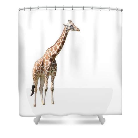 Animals pikachu pictures fictional characters giraffe. Giraffe Shower Curtain | Giraffe decor, Safari bedroom ...