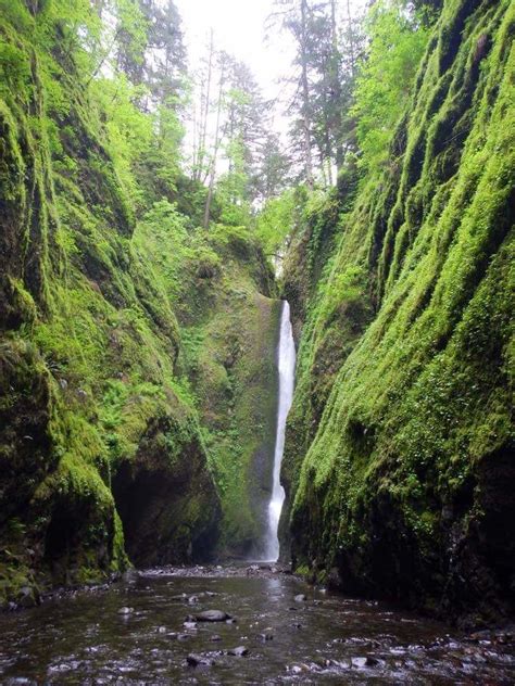 Oneonta Gorge Trail Closed Oregon Alltrails