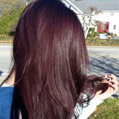You can also use warm coconut oil or olive oil, mashed avocado, or egg white. How to dye black hair purple without bleach - Quora