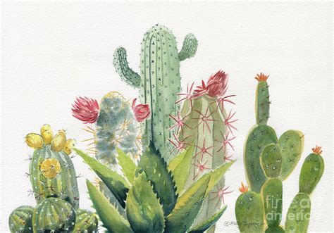 Watercolor Art And Collectibles Unique Cactus Watercolor Pe