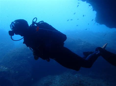 Best Spot Azores Padi 5 Dive Center Dive Ponta Delgada Buceo Azores