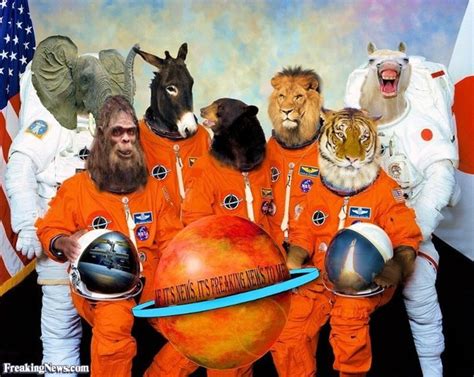 Humans, chimpanzees and dogs can live in a space environment for but a few minutes before the air in their lungs expands, gas bubbles out of their blood and the saliva in their mouths begin to boil. What were the first ten animals to visit space? timeline ...