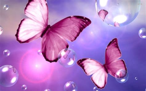 Pink Butterflies Wallpaper 69 Images