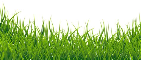 Grass Vector PNG Image - PurePNG | Free transparent CC0 PNG Image Library