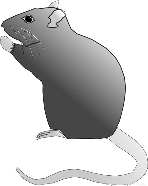 Clipart Rat Gray Clipart Rat Gray Transparent Free For Download On