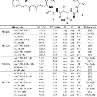 Liquid chromatography-tandem mass spectrometry fragment ...