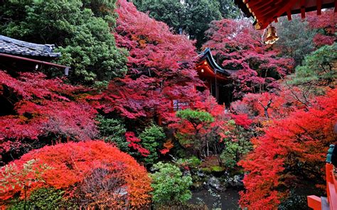 Find and download japanese background on hipwallpaper. Download wallpaper 3840x2400 temple, autumn, japan, kyoto 4k ultra hd 16:10 hd background