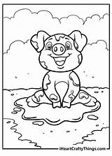 Pig Coloring sketch template