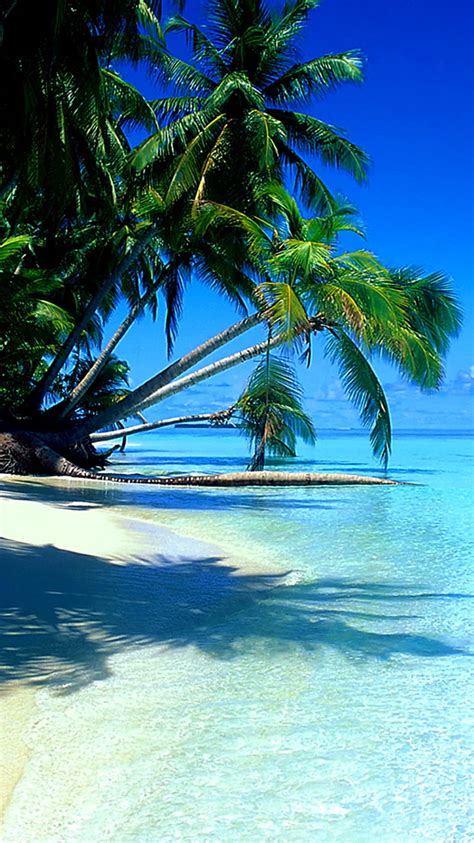 Tropical Beach Island Paradise Sea Hd Phone Wallpaper Peakpx