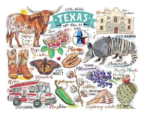Texas Print Illustration State Symbols The Lone Star State Etsy