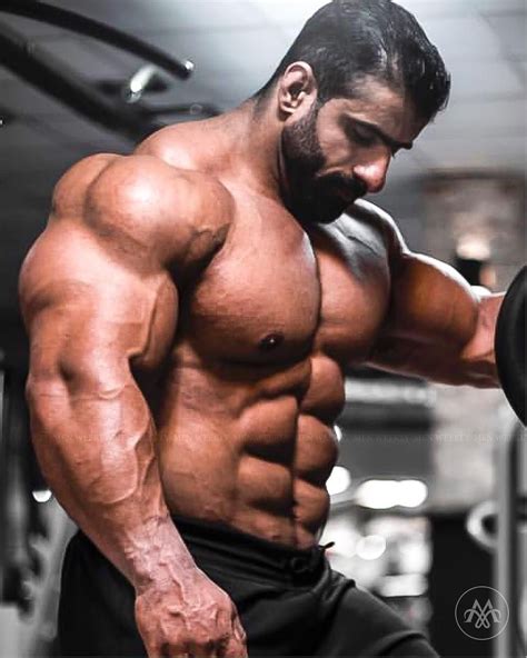 Hadi Choopan Followmuscularworld For More Pictures Of Incredible