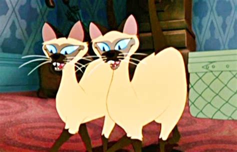 Si And Am Lady And The Tramp Lady And The Tramp Feline Siamese Cats