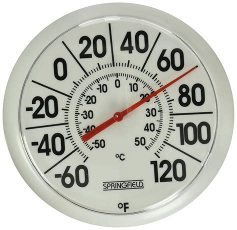 Springfield Indoor/Outdoor Thermometer (8-Inch) - Fox and Grapes