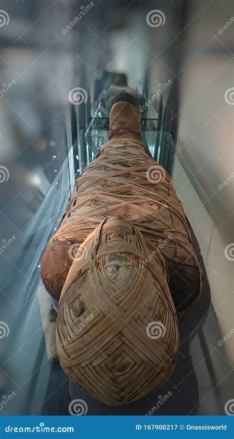 real ancient egyption mummy cairo closeup editorial photography image of real mummy 167900217