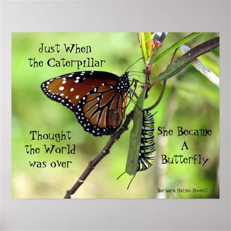 Caterpillar Butterfly Quote Poster