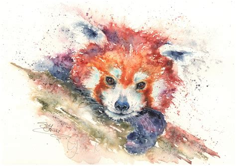Red Panda Watercolour Print Wildlife Artist Sandi Mower Gekko Art