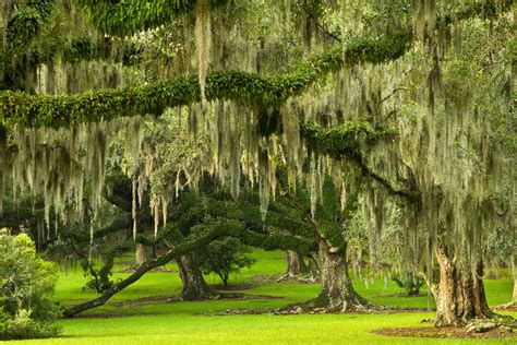 6 Of The Most Beautiful Places To See In Louisiana