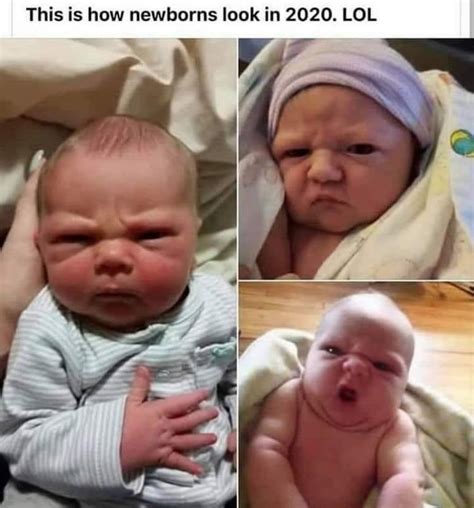 This Is How Newborns Look In 2020 Grumpy Babies Meme Keep Meme